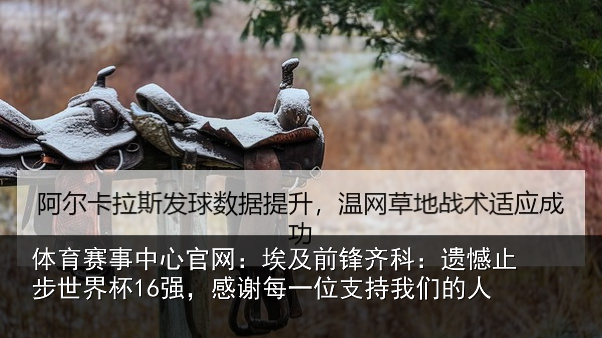 体育赛事中心官网：埃及前锋齐科：遗憾止步世界杯16强，感谢每一位支持我们的人