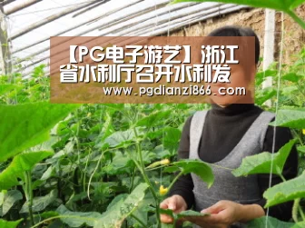 PG电子游艺